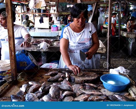  The Fish Vendorın Renkli Dünyası ve Gerçekçiliğin Sınırları!